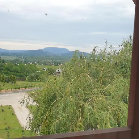 Szabo Pince Vendeghaz Gasthuis *