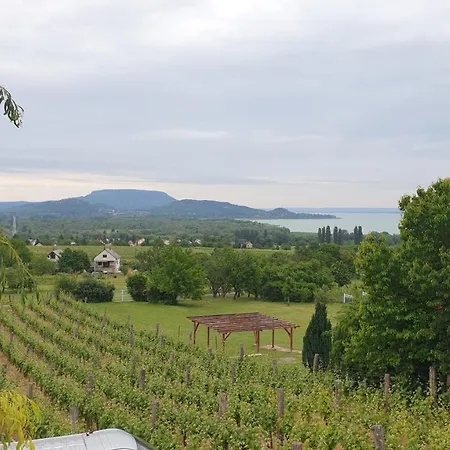 Szabo Pince Vendeghaz Balatonederics