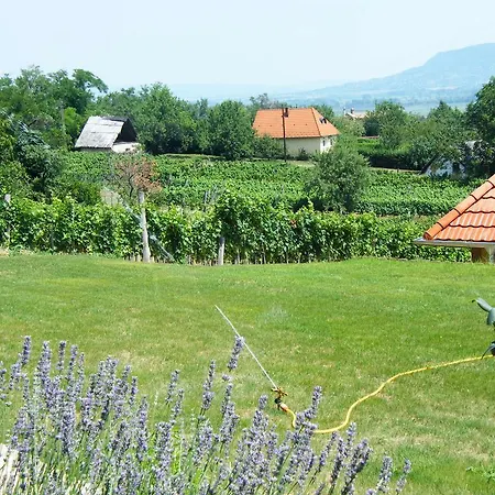 Gasthuis Szabo Pince Vendeghaz *